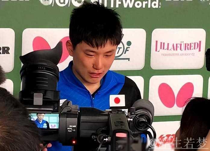 张本智和露出久违笑容！赛后说中文引起球迷欢呼，再次提到樊振东